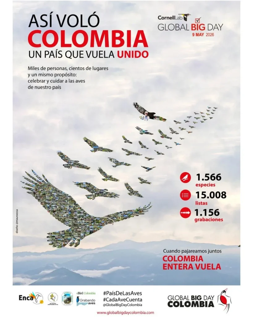 Afiche oficial del Global Big Day Colombia diseñado como un mosaico colectivo con 1.033 fotografías de aves reales.