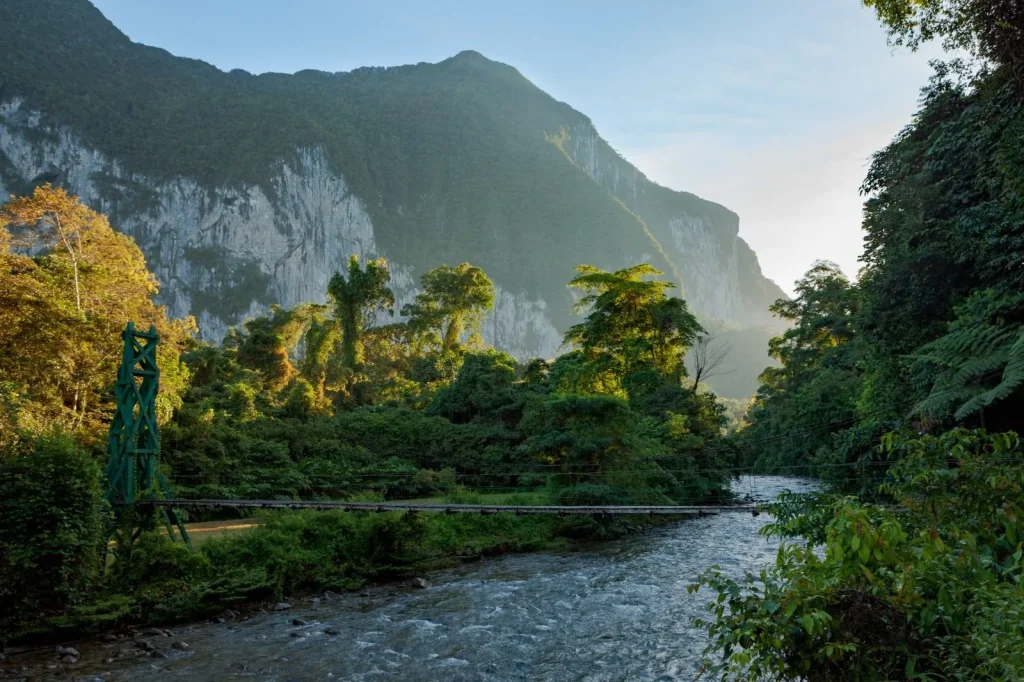 Puente colgante en la selva tropical de Malasia rodeado de vegetación densa y montañas