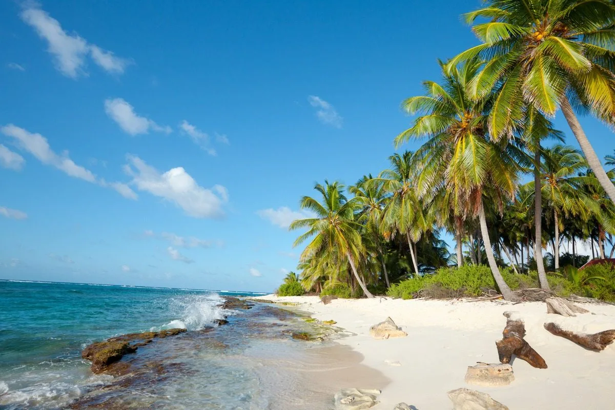 Una playa de San Andrés con palmeras y mar azul que representa el interés por los viajes y el descanso en el país