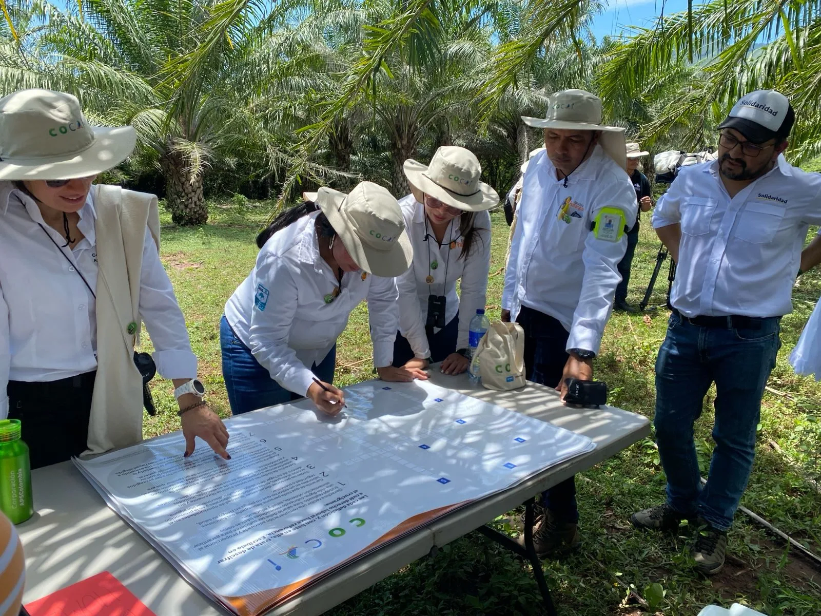 Grupo de campesinos y técnicos del Proyecto Coclí reunidos alrededor de una mesa en un cultivo de palma revisando acuerdos de conservación